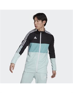 Олимпийка Tiro Sportswear Adidas