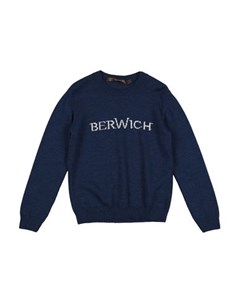 Свитер Berwich