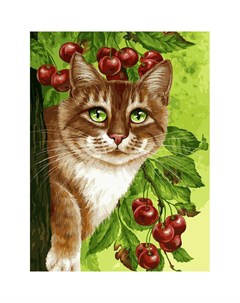 Набор для рисования по номерам Кот на вишневом дереве Белоснежка