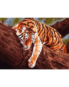 Набор для рисования по номерам Тигр на дереве Белоснежка