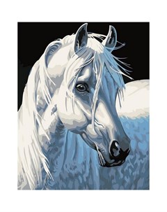 Набор для рисования по номерам Белая лошадь Белоснежка