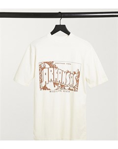 Белая футболка в стиле унисекс с принтом Arkansas Inspired Reclaimed vintage