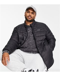 Черный пуховик с воротником стойкой Essentials Plus Jack & jones