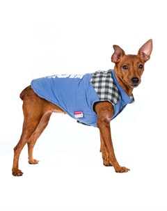 Куртка для собак XS синий унисекс Petmax