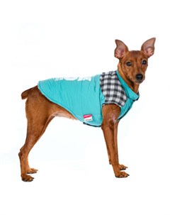 Куртка для собак L голубой унисекс Petmax