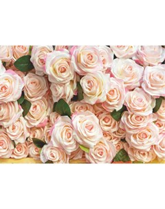 Бумажные обои Bellissimo Роскошные розы многоцветные 2 8х2 м Без бренда