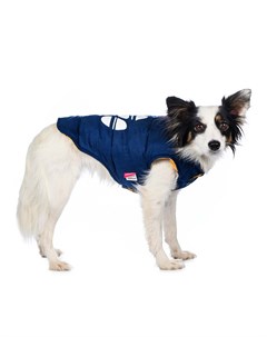 Куртка двухсторонняя для собак XS синий унисекс Petmax