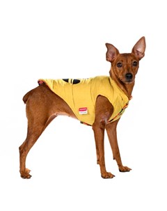 Куртка двухсторонняя для собак S желтый унисекс Petmax