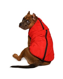 Куртка на молнии для собак 2XL красный унисекс Rurri