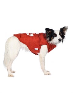 Куртка двухсторонняя для собак 3XL оранжевый унисекс Petmax