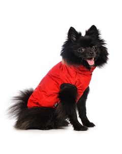 Куртка на молнии для собак S красный унисекс Rurri