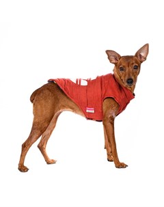 Куртка двухсторонняя для собак XS оранжевый унисекс Petmax