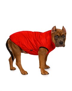 Куртка на молнии для собак XL красный унисекс Rurri
