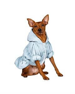 Куртка платье для собак XS голубой унисекс Petmax