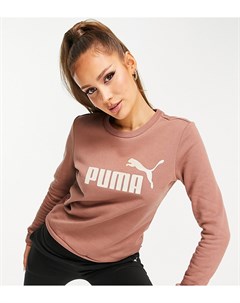 Коричневый свитшот с логотипом Essentials Puma