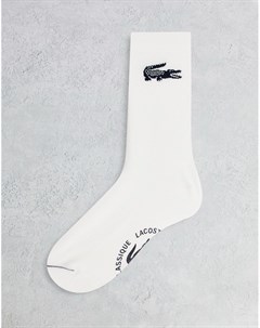 Белые носки с большим логотипом крокодила Lacoste