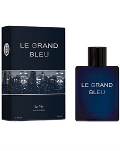 Туалетная вода для мужчин La Vie Le Grand Bleu 100 мл ТМ Dilis cosmetic