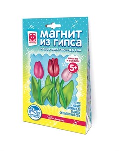 Набор для лепки из гипса Цветы Тюльпаны с магнитом ТМ Фантазер