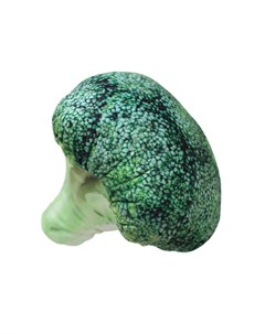Мягкая игрушка Брокколи 20 см цвет зеленый Super01