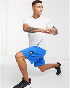 Синие шорты с логотипом adidas Adidas performance