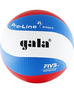 Мяч волейбольный Pro Line Top BV5591S р 5 Gala