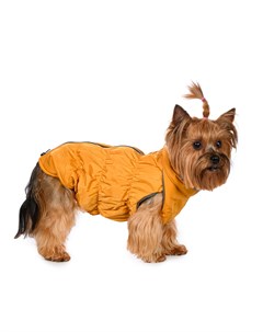 Куртка на молнии для собак S желтый унисекс Rurri