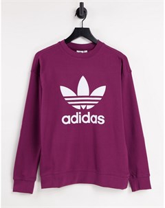 Свитшот малинового цвета с большим логотипом adicolor Adidas originals