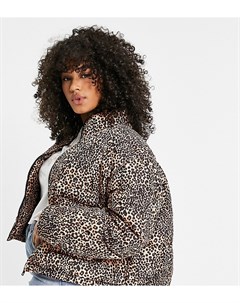 Дутая куртка с леопардовым принтом Wednesday's girl curve