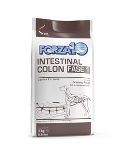 Сухой корм Forza 10 Intestinal colitis Fase 1 для собак 4 кг Рыба Forza10