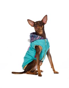 Куртка с капюшоном для собак 2XL голубой унисекс Petmax