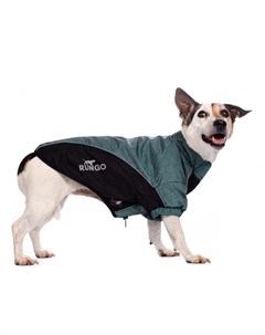 Куртка для собак крупных пород зеленая на молнии 41x60x39 см Rungo