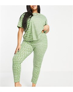 Зеленая пижама с футболкой и леггинсами с крокодиловым принтом ASOS DESIGN Curve Asos curve