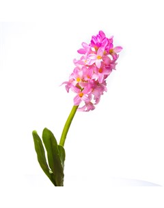 Искусственные цветы Гиацинт 32см розовый Silk-ka