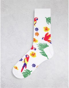 Белые носки до щиколотки с принтом тропиков и попугаев Asos design