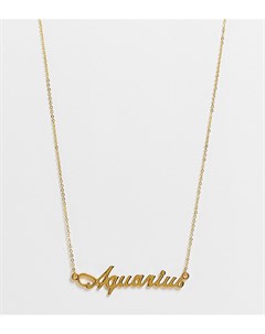 Ожерелье с позолотой 14 карат и подвеской в виде надписи Aquarius Asos design