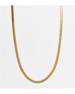 Ожерелье с плетеньем змейка и позолотой 14 карат ASOS DESIGN Curve Asos curve