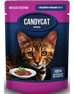 Паучи Candycat кусочки с Индейкой и овощами в желе для кошек 85 г Индейка и овощи Gina