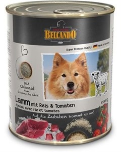 Консервы Super Premium для собак 800 г Ягненок с рисом и помидорами Belcando