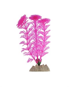 GloFish Растение флуоресцирующее розовое Glo fish