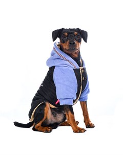 Куртка для собак XS черный унисекс Petmax