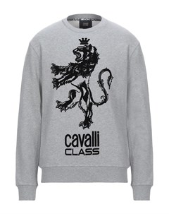 Толстовка Cavalli class