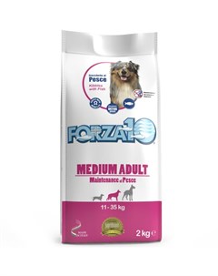 Сухой корм Forza 10 Medium Adult Maintenance с рыбой для собак 2 кг Рыба Forza10