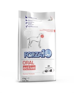 Сухой корм Forza 10 Oral Active для взрослых собак с заболеваниями ротовой полости 4 кг Рыба Forza10