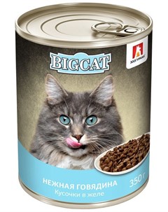 Консервы Big Cat кусочки в желе с говядиной для кошек 350 г Говядина Зоогурман