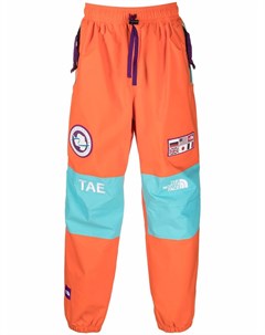 Брюки Transantarctica TAE The north face