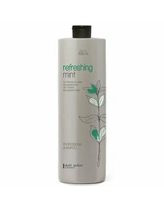 Шампунь Refreshing Mint Professional Line 1 л Dott. solari cosmetics