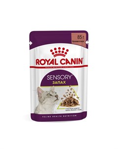 Корм для кошек Sensory Запах стимулирующий обонятельные рецепторы соус пауч 85г Royal canin