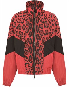 Куртка на молнии с леопардовым принтом Dolce&gabbana