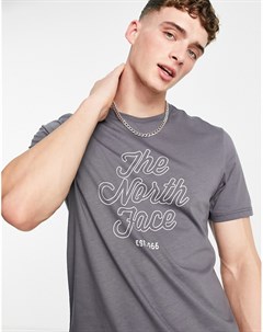 Серая футболка Natural Wonders The north face