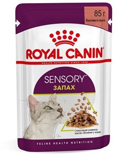 Паучи Sensory Запах кусочки в соусе для взрослых кошек 85 г Royal canin